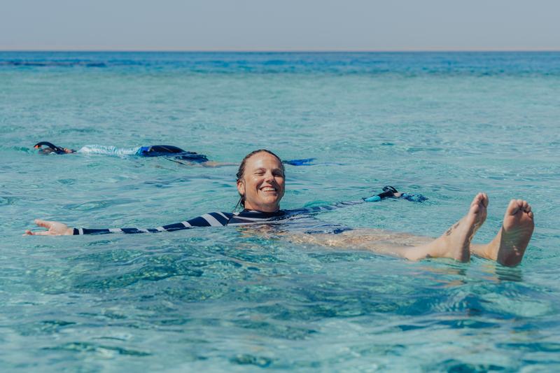 Guests swimming with wild dolphins